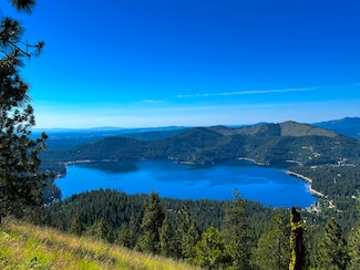 39XX N Deer Lake Rd, Loon Lake, WA 99148