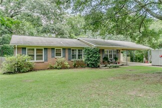 2313 Redtop Ave, Cottondale, AL 35453