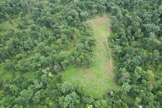 42 ACRES Audrain Road 620, Wellsville, MO 63384