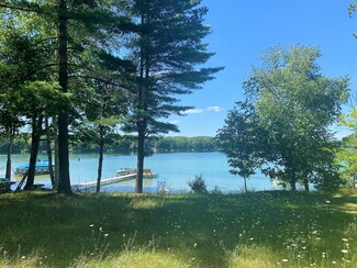 Lot 12 Cr 459, Hillman, MI 49746