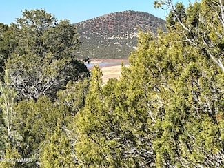 lot 79 N Ranch Rd, Vernon, AZ 85940