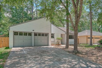 12 Field Flower Ct, Spring, TX 77380