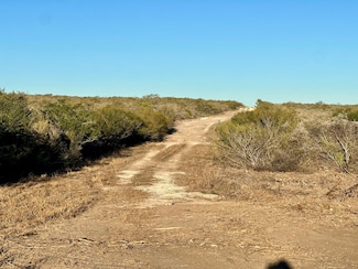 County Road 171, Sandia, TX 78383