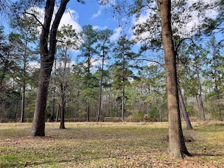 TBD Kent St, New Caney, TX 77357