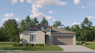 17724 Happytrails St, Land O' Lakes, FL 34638