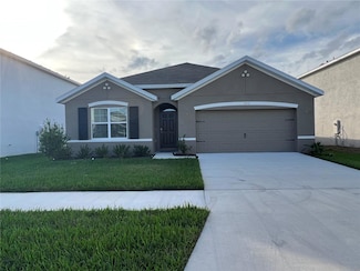 17031 Avon Dive Ln, Wimauma, FL 33598