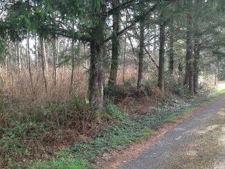 13 Willaview Ln, South Bend, WA 98586