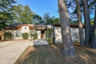 23142 Calico Corners Ln, Spring, TX 77373