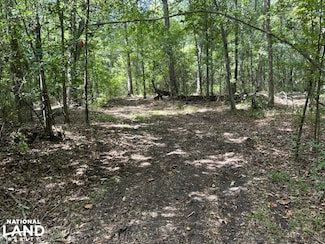 0 American Ave Unit 25405613, Turbeville, SC 29162