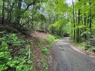 0 Ts Jarrard Rd Unit Tract 3, Dahlonega, GA 30533