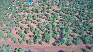 59 N3131, Vernon, AZ 85940
