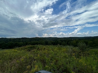 0 Haught Rd Unit LOTWP001 24504411, Adams Township, OH 43725