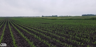 0 330th Ave, Westbrook, MN 56183