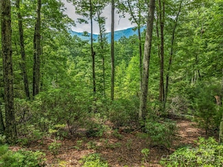 72 Smokey Ridge Trail Unit 196, Arden, NC 28704
