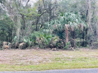 0 NE 245th Street Rd Unit MFROM712285, Fort McCoy, FL 32134