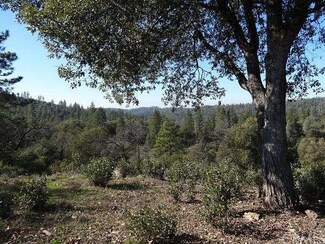 13461 Ridge Ct, Sutter Creek, CA 95685