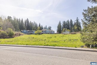 Lot 8 S Del Guzzi Dr, Port Angeles, WA 98362