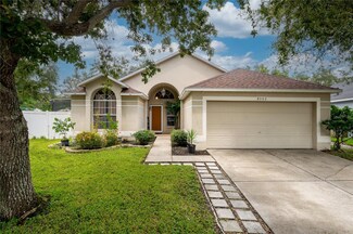 8502 Tiara Park Way, Tampa, FL 33635