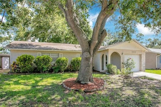 1600 Amberlea Dr N, Dunedin, FL 34698
