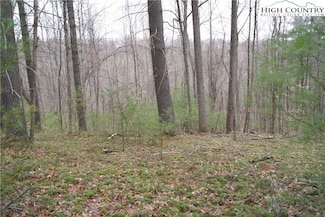 Lot 69 Laurel Mountain Dr, Sparta, NC 28675