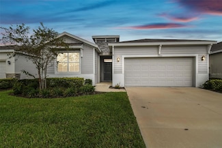 13204 Waterleaf Garden Cir, Riverview, FL 33579