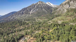 286 Tigerwood Ct, Gardnerville, NV 89460