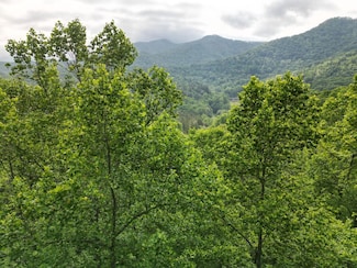 Lot 4 Anns Ln, Hayesville, NC 28904