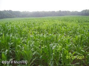 V/L Brownsville St Unit 2, Vandalia, MI 49095