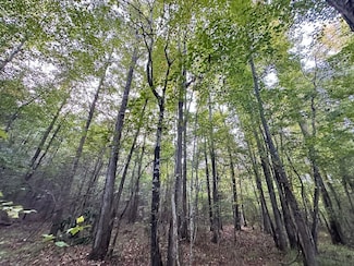 0 County Road 50, Moundville, AL 35474