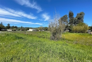 1025 Laurel Ave, Sonoma, CA 95472