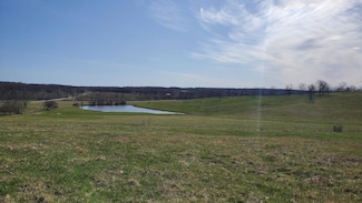 Lot 1 N Farm Road 61, Walnut Grove, MO 65770