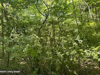 259,260,26 Sycamore Dr, New Haven, KY 40051