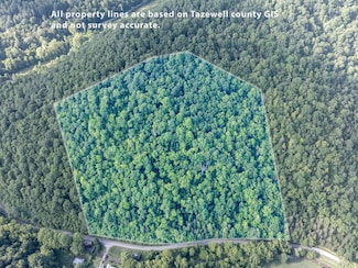 TBD Dry Fork Rd, Cedar Bluff, VA 24609
