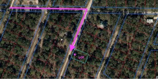 000 NE 155 Ct, Williston, FL 32696