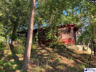 411 Kingfisher Dr, Ridgeway, SC 29130