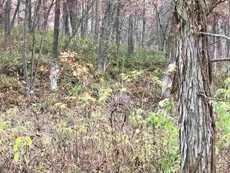 40 Ac Hwy 39, Linden, WI 53565