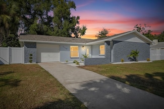 1115 Park St, Seffner, FL 33584