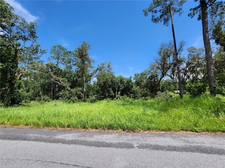 TBD Oak Lane Way, Ocala, FL 34472
