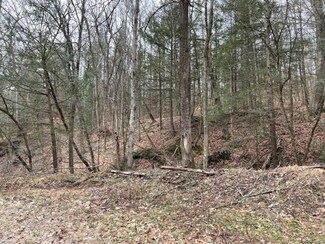 00 Dry Brook Rd, Owego, NY 13827