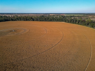 County Road 168, Morgan, GA 39866