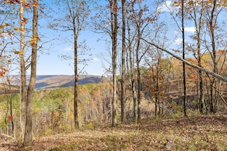 0 Big View Rd Unit 1504098, Guild, TN 37340