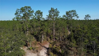 12500 NE 87 Place, East Bronson, FL 32621