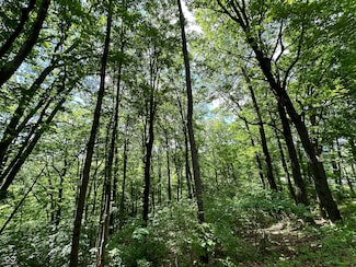 0 Dynasty Ridge Rd, Jackson Township, IN 46151