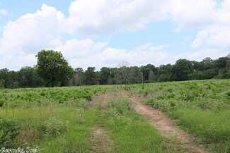 0 W Hwy 41 and S Side Hwy 380 Unit 18020827, Horatio, AR 71842
