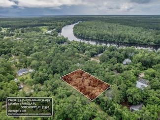 xx Pamela Place, Sopchoppy, FL 32358