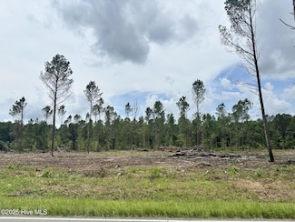 1355 Bill Hooks Rd, Whiteville, NC 28472