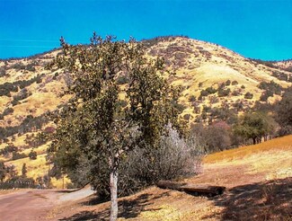 15 Boren Ln, Squaw Valley, CA 93675