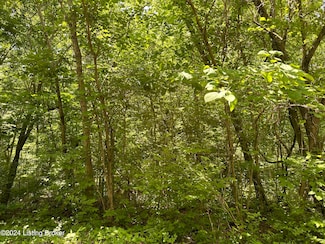 272, 277 Hills Place, New Haven, KY 40051