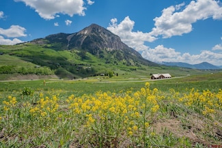 375 Saddle Ridge Ranch Rd, Crested Butte, CO 81224