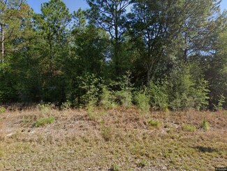 20313 SW Audubon Ave Unit Lot 29, Rainbow Lakes Estates, FL 34431